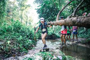 BIB: 
                            <button type="button" onclick="openModal(25432909)" class="btn btn-primary btn-sm float-right btn-popup" data-toggle="modal" data-target=".modal-high-quality">
                        <i class="fas fa-shopping-cart"></i> Add to Cart
                    </button>
                                            <button type="button" onclick="isThisMe(25432909, true)" class="btn btn-success btn-sm float-right btn-popup btn-isme hidden" data-toggle="tooltip" data-placement="bottom" title="นี่คือรูปของคุณใช่ไหม คลิกที่นี่เพื่อเอาเข้าอัลบั้ม">
                        <i class="fas fa-plus"></i> Add to album
                    </button>
                    <button type="button" onclick="isThisMe(25432909, false)" class="btn btn-warning btn-sm float-right btn-popup btn-isnotme hidden">
                        <i class="fas fa-ban"></i> Remove from album
                    </button>